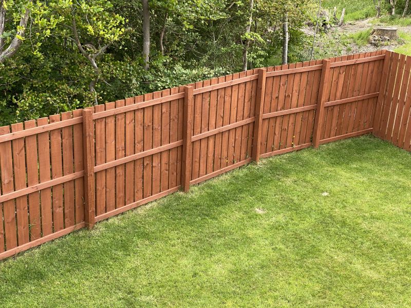Fence Painting